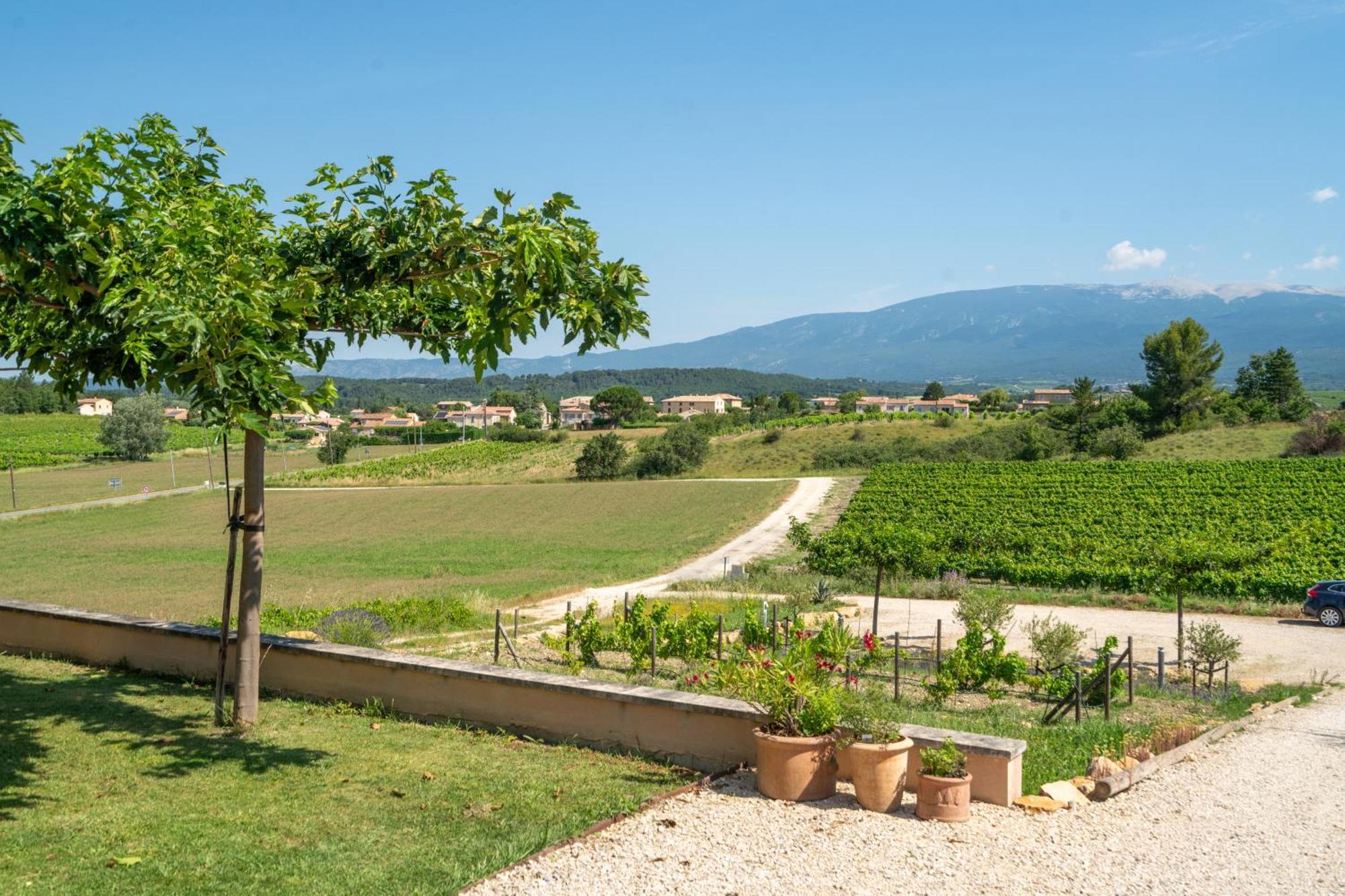Villa Les Terrasses De Cascavelle Blauvac Esterno foto